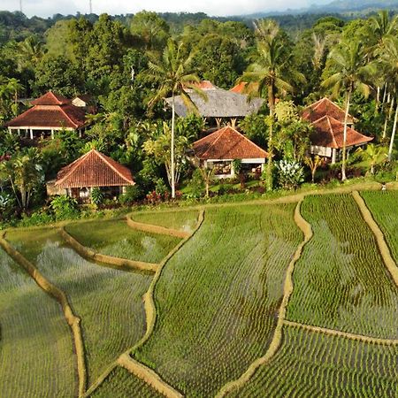Padangan  Sava Eco Retreat酒店 外观 照片