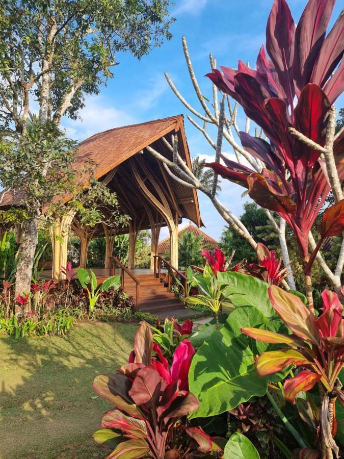 Padangan  Sava Eco Retreat酒店 外观 照片