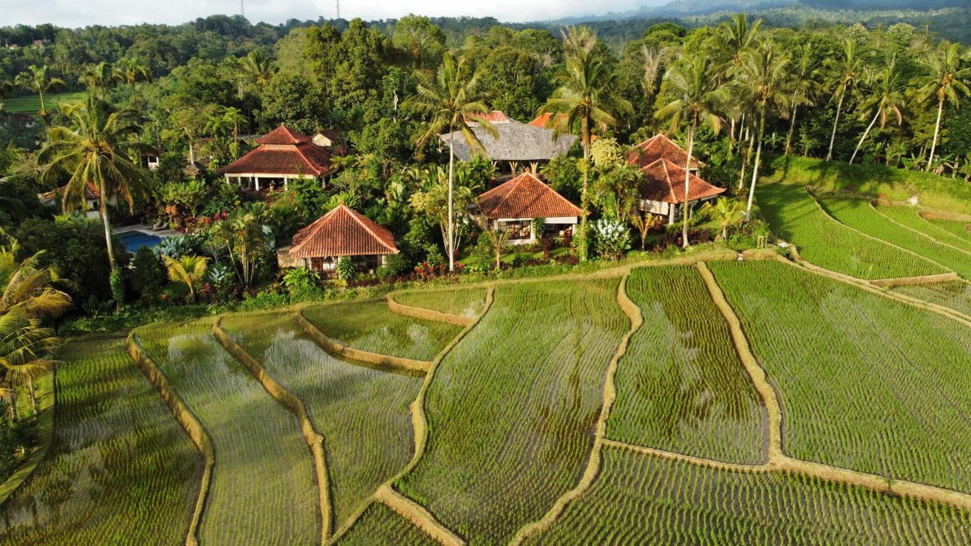 Padangan  Sava Eco Retreat酒店 外观 照片